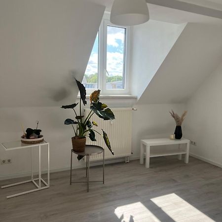 Cozy Work And Stay Pretty Home Chemnitz Exteriör bild