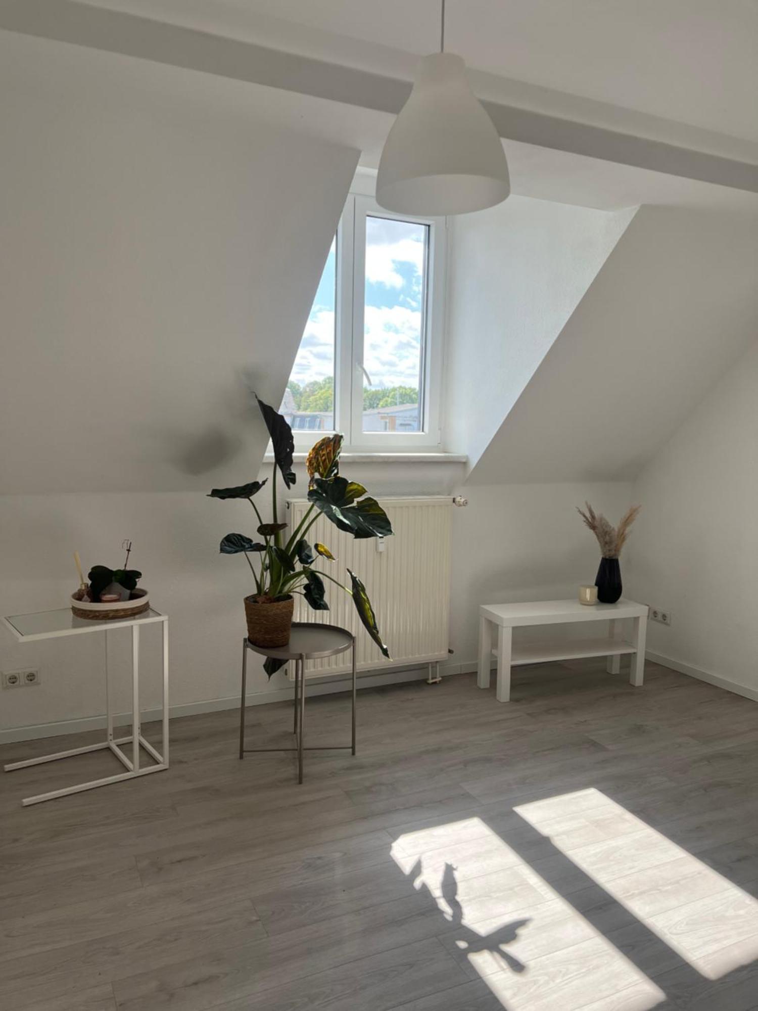 Cozy Work And Stay Pretty Home Chemnitz Exteriör bild